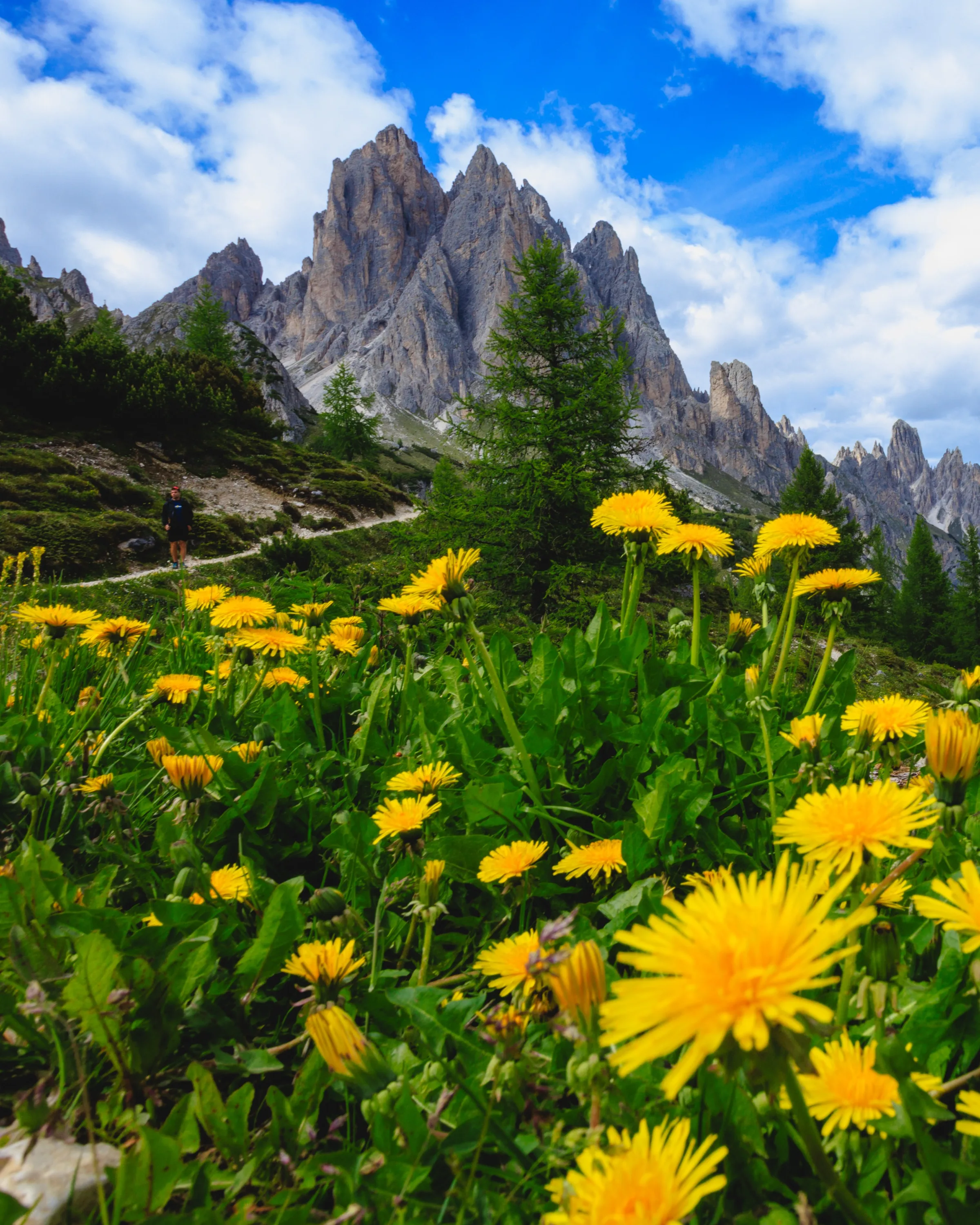 Dolomitas 2027