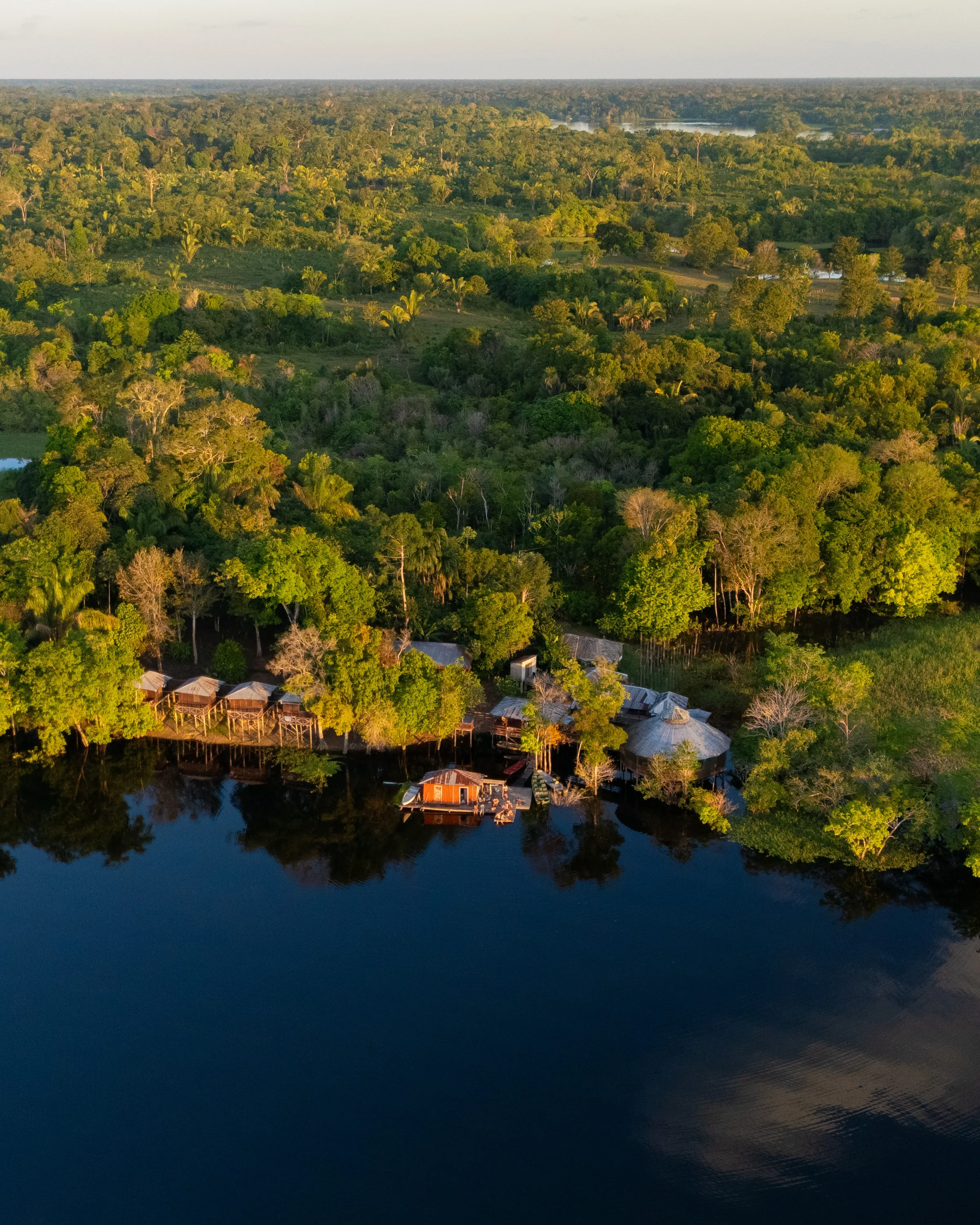 Réveillon Amazônia